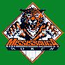 Mississauga North Rep Baseball