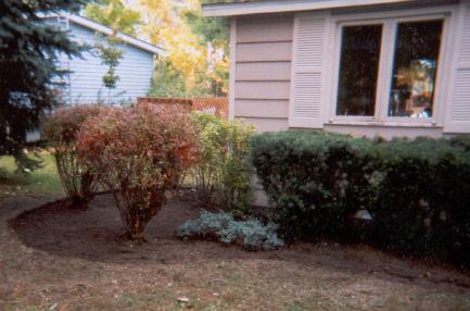 clearing for the mulch!