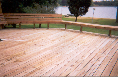 Weekly Photo