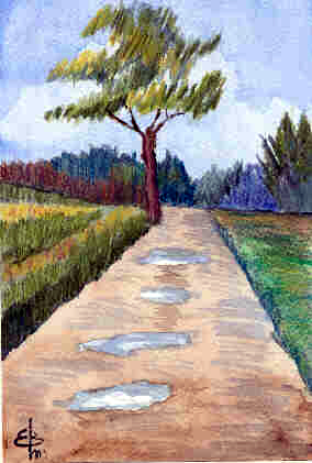 Sendero despu�s de la lluvia