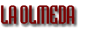 LA OLMEDA