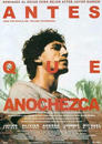 Antes que anochezca