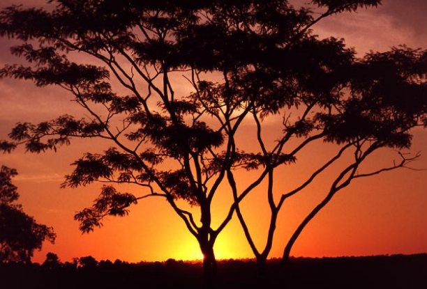 sunset.jpg (8484 bytes)