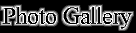 Photo Gallery