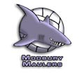 A logo for my Volleyball team