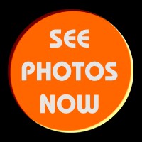 Come! Have a look at our Wedding Album
