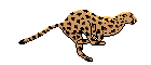 cita.gif (5603 bytes)