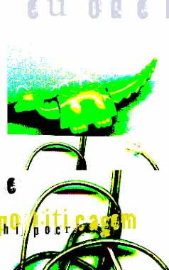 politicagem hip�crita