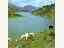 Pantano de Mansilla