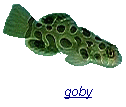 goby