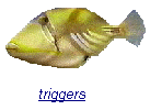 triggers