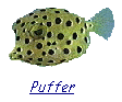 puffer