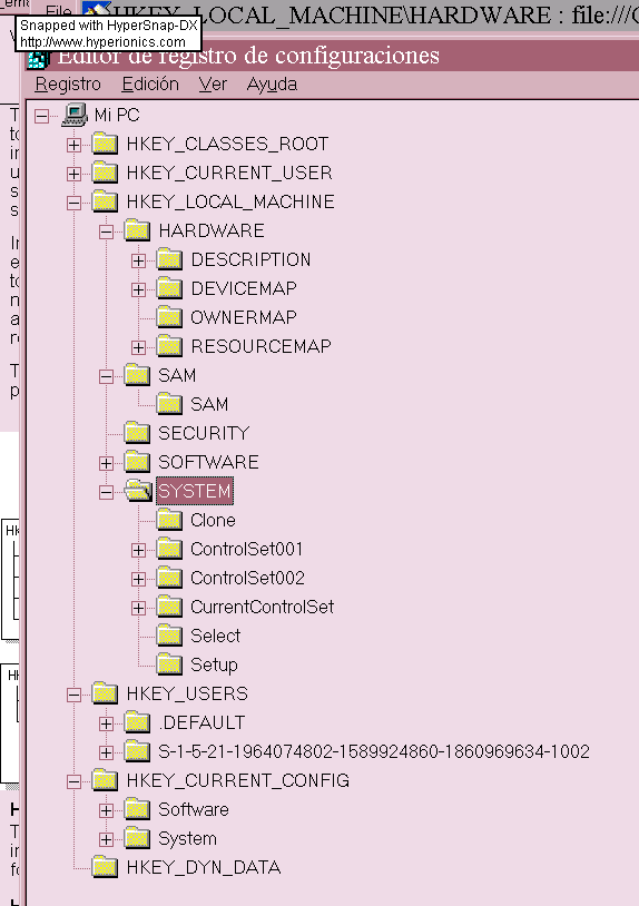 Vista del registro desde REGEDIT