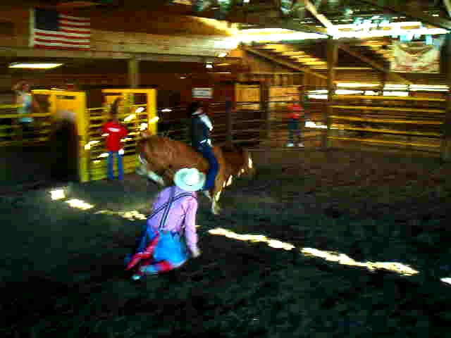 Ride 'em Cowboy!!!
