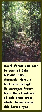 Click to see enlarged picture