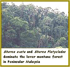 Click to see enlarged picture