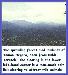 Click to see enlarged picture