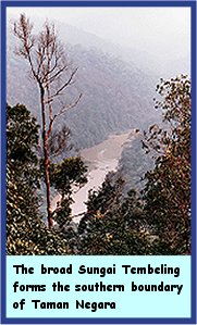 Click to see enlarged picture