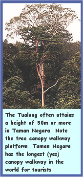 Click to see enlarged picture