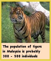 Click to see enlarged picture