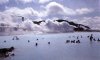 Reykjavik, Blue Lagoon, Fish, Volcanoes, Glaciers, Geysers, Expensive.
