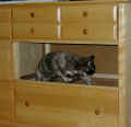 dresser1.jpg (408696 bytes)