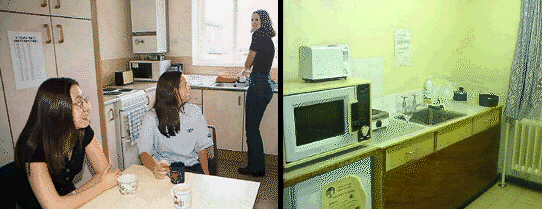 Real and Imagined Kitchens