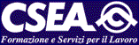 CSEA.gif (3622 bytes)