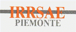 IRRSAE.gif (14119 bytes)