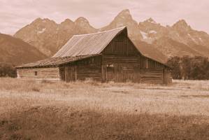 Mormon Row