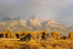 Fallen Barn