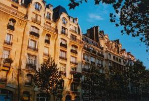 Paris Street