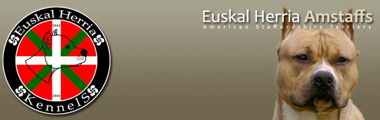 Euskal Herria American Staffordshire Terrier Kennel