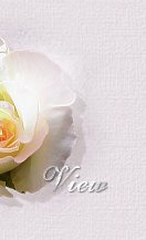 click here to view my guestbook!