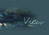 Click here to view my guestbook!