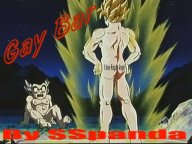just what DOES it say across Goku's butt?