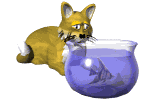 Pets Pictures