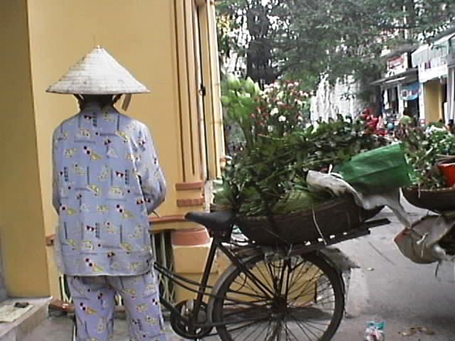 The Flower Vendor on wheels