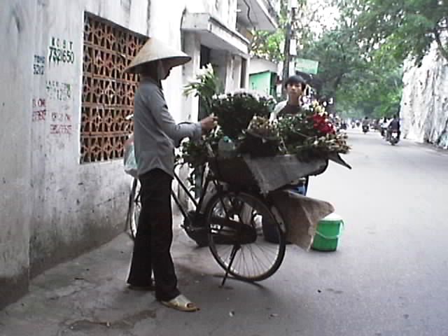 Tending to her regular customers