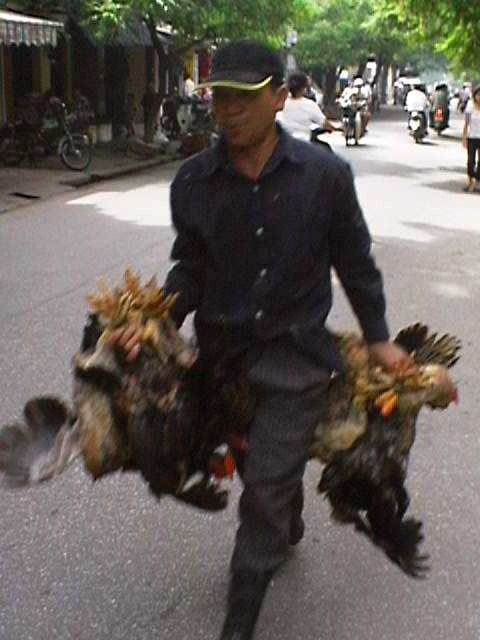 Chicken delivery in 29 minutes, or your money back