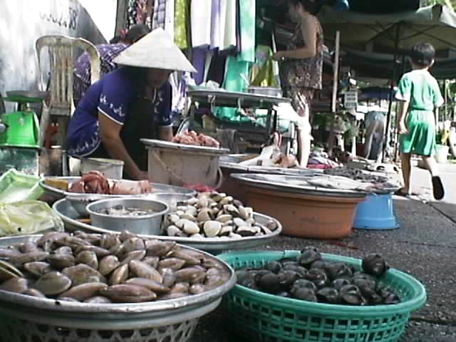 Seafood galore