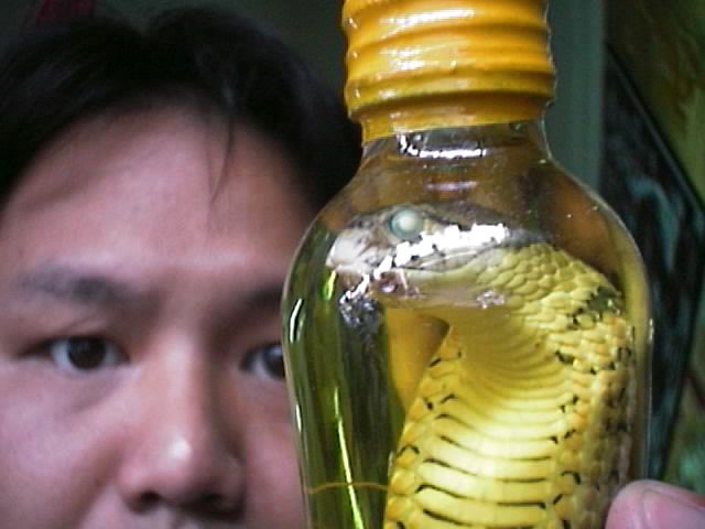 Bottled snake for your health, anyone?