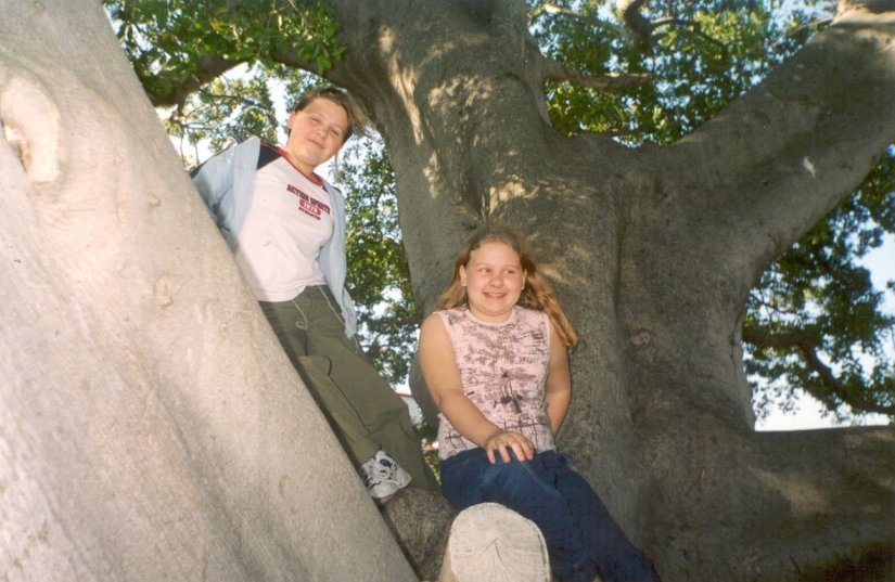 2 up a tree