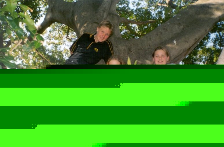 3 up a tree