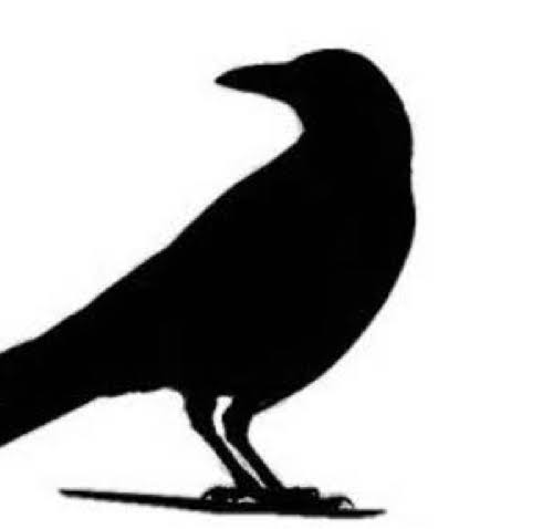 Raven