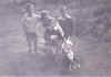 willis_f.jpg (59822 bytes)