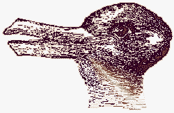 Duck Or A Bunny