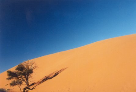 dune 45