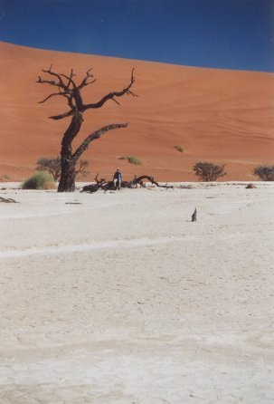 deadvlei