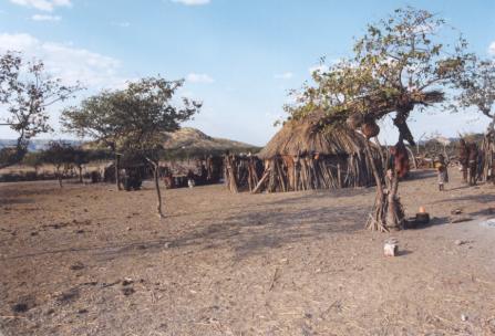 Himba dorpje